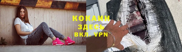 дурь Богородицк