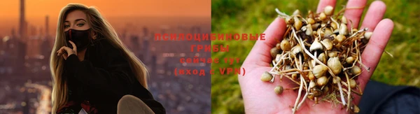 кокс Богородск