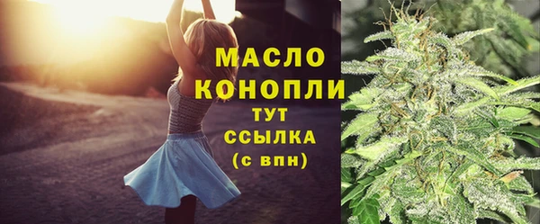 дмт Пересвет