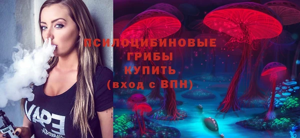 дурь Богородицк