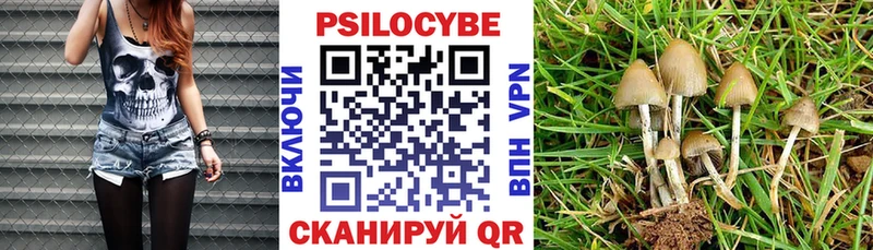 Псилоцибиновые грибы мухоморы Спасск-Дальний